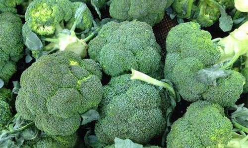 Ѫ֬�߳�ʲô�� Ѫ֬�߻�����ʳ����